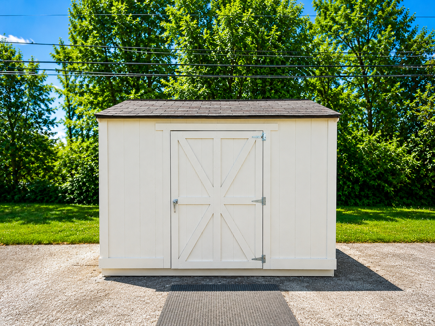 Shed Door & Painting